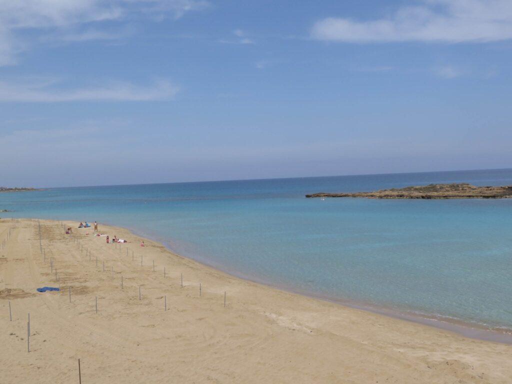 Fig-Tree-Bay-1